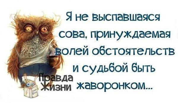 ...���������� :)