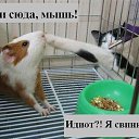 ���� Takytoka, ������ - ��������� 4 ���� 2015 � ������ ������ ��������