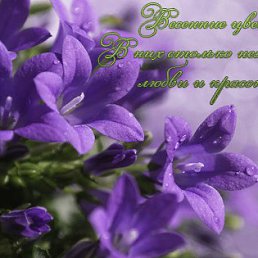 ���� �����, ����-��������� - ��������� 21 ��� 2015