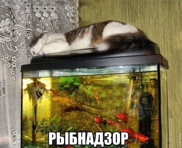 )))