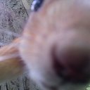 ���������� ��������� �� ������� �������