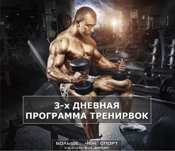 3-х ДНЕВНАЯ ПРОГРАММА ТРЕНИРОВОК. Цель программы - нарастить мышечную массу и увеличить силу. Многие ...
