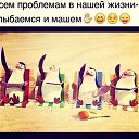 ���� ��������)), �����-��������� - ��������� 21 ���� 2015 � ������ ������ ��������