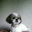 ���� �������, ��������������, 52 ���� - ��������� 9 �������� 2015 � ������ ������ ��������