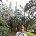 ���� ������, ������������, 58 ��� - ��������� 3 ��� 2015 � ������ ���� ����������