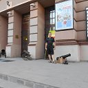 ���� ����, ���������, 42 ���� - ��������� 14 �������� 2015 � ������ ���� ����������