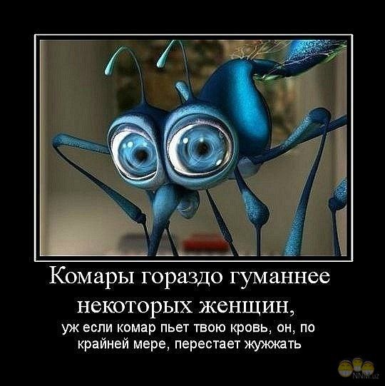 �����, ��������� ����������, ����� ��� ��� ���� ����������� ��� ��� ���� �����.