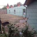 ���� ������, ������ ��������, 49 ��� - ��������� 21 ���� 2015 � ������ ���� ����������