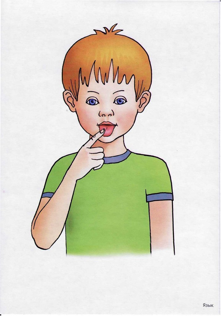 Сенсорный рот. Карточки Асти тела для детей. Мальчик части тела. Карточки части тела для детей. Части тела голова.