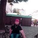  ,  , 67  -  29  2015    2015