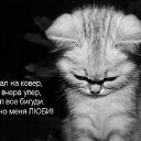 ���� ���������, ���������, 43 ���� - ��������� 31 ���� 2015 � ������ ���� ����������