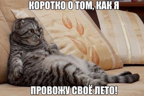    :-) - 21  2015  23:40