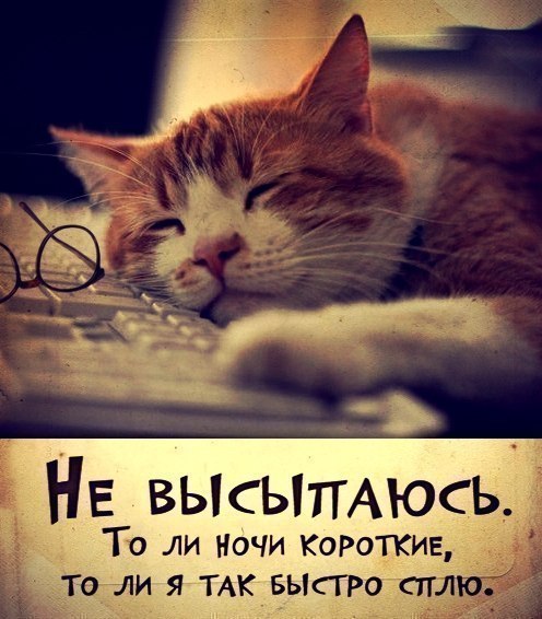       - 6  2015  04:32