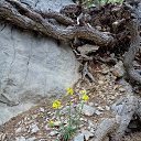  , , 60  -  7  2015       04.05.15.