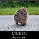 ���� �����, ����� - ��������� 21 ���� 2015