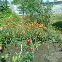 ��� � �������� �������� � ����� �������,����� ���������� ���� �� ������� ���� ����������