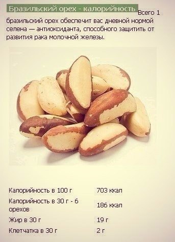 Орехи. Калорийность и полезные свойства. - 6