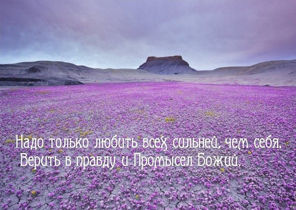 Пусть всегда на земле расцветают цветы, Пусть в сердцах будут мир и согласье. - 3