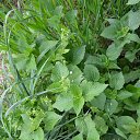 ���� ����, �������, 66 ��� - ��������� 29 ������ 2015 � ������ ������ 2015�