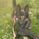 ����� ��� ���������? �� ������� ����� 2015�