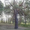 ���� Alexandr, ������, 75 ��� - ��������� 4 �������� 2015 � ������ ���� ����������