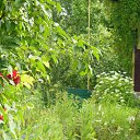 ���� ������, ������ - ��������� 6 ���� 2015 � ������ ���� ����������