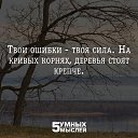���� ��������, ���������, 61 ��� - ��������� 7 ��� 2015 � ������ ���� ��� ���