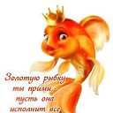 ���� �����, ������ ��� - ��������� 18 ��� 2015 � ������ ������ ��������