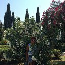 ���� �����, ����, 67 ��� - ��������� 30 ������� 2015 � ������ ������� 2915 �