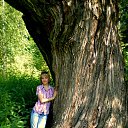 ���� ��������, ������ - ��������� 31 ������� 2015 � ������ ���� ����������