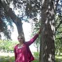 ���� ��������, �����, 50 ��� - ��������� 2 ���� 2015 � ������ ���� ����������