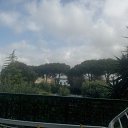 ���� ����, ����������, 37 ��� - ��������� 17 ���� 2015 � ������ �������