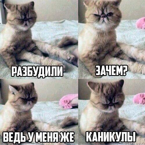       - 3  2015  12:32
