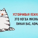   (), , 51  -  23  2015    