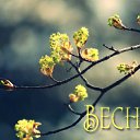 ���� �������, ��������� - ��������� 26 ������ 2015 � ������ �������� ��������