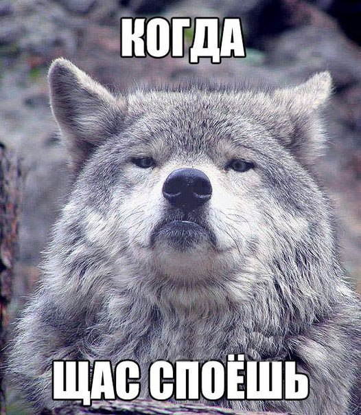 Волк на все случаи жизни. - 6