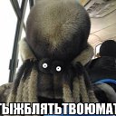 ���� Sakhalin, ���������, 42 ���� - ��������� 6 ������� 2015 � ������ ����