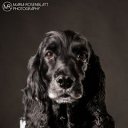 ���� Alina, �����-��������� - ��������� 11 �������� 2015 � ������ ������ ��������