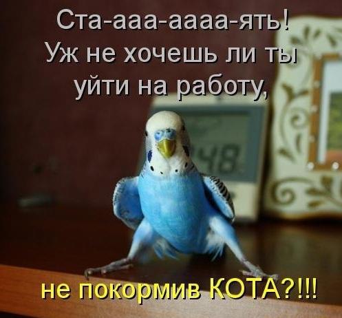   - 7  2015  04:17