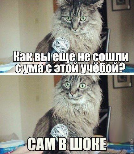    :D - 19  2015  17:16