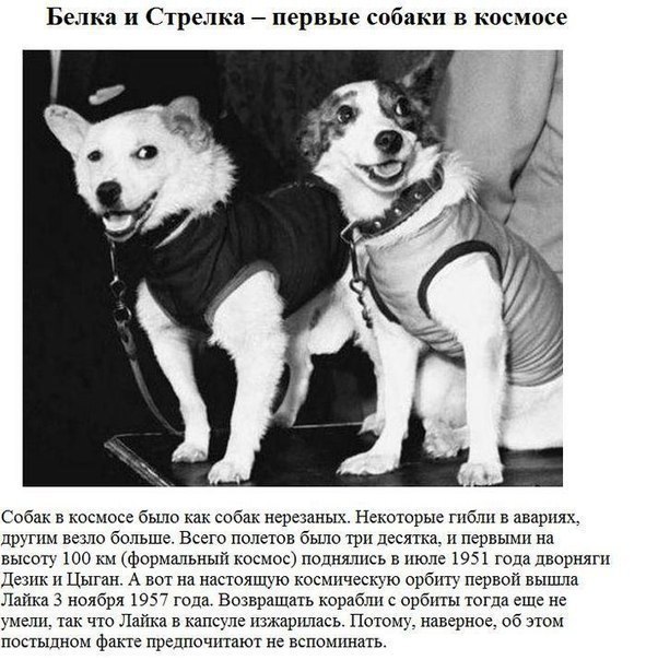   - 8