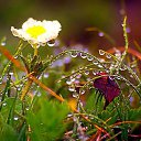 ���� �����, �����, 83 ���� - ��������� 16 ���� 2015 � ������ ������ ��������