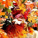 ���� �����, ������ - ��������� 30 ���� 2015 � ������ ���� ����������