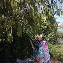 ���� ������, ��������� - ��������� 28 ������� 2015 � ������ �....�