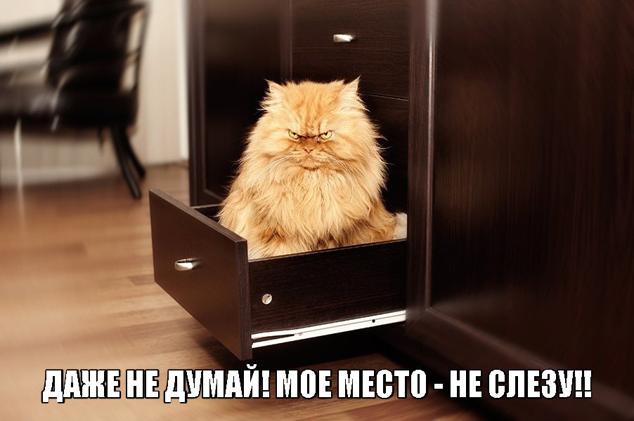       - 3  2015  22:22