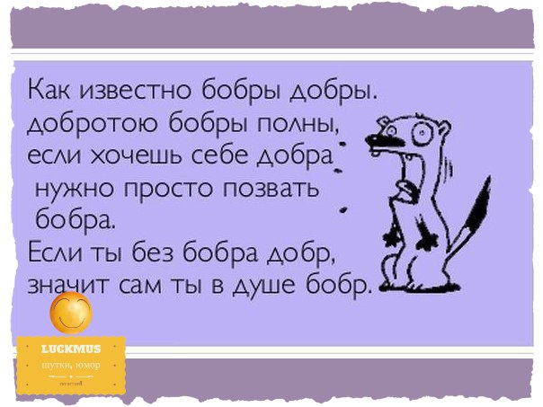   ,    -    !