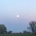 ���� ���� ���������� ��������������, ������� - ��������� 5 ��� 2015 � ������ ���� ����������