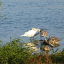 ���� ����, ���������, 47 ��� - ��������� 8 ���� 2015 � ������ �� ��� �����.�