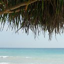 ���� ���������, ����� - ��������� 11 �������� 2015 � ������ ���� ����������