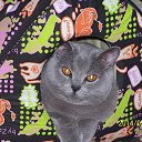 ���� �������, �����������, 61 ��� - ��������� 16 �������� 2015 � ������ ���� ����������